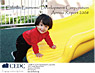 CEDC Annual Report 2007